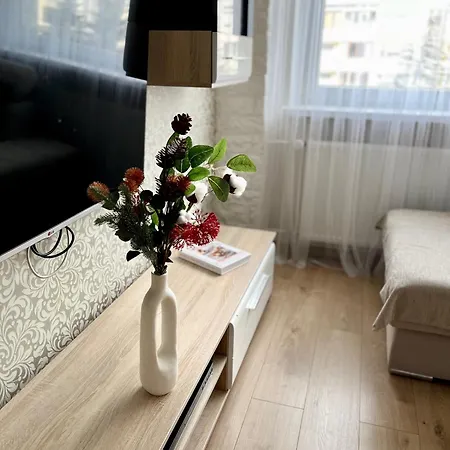 Aurora Close To The City Centre And The Sea